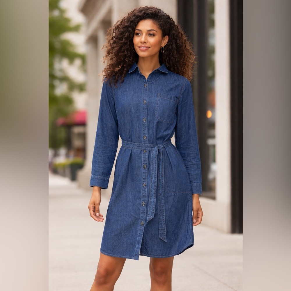NWT J. Jill Dark Wash Denim Shirt Dress | Size Large